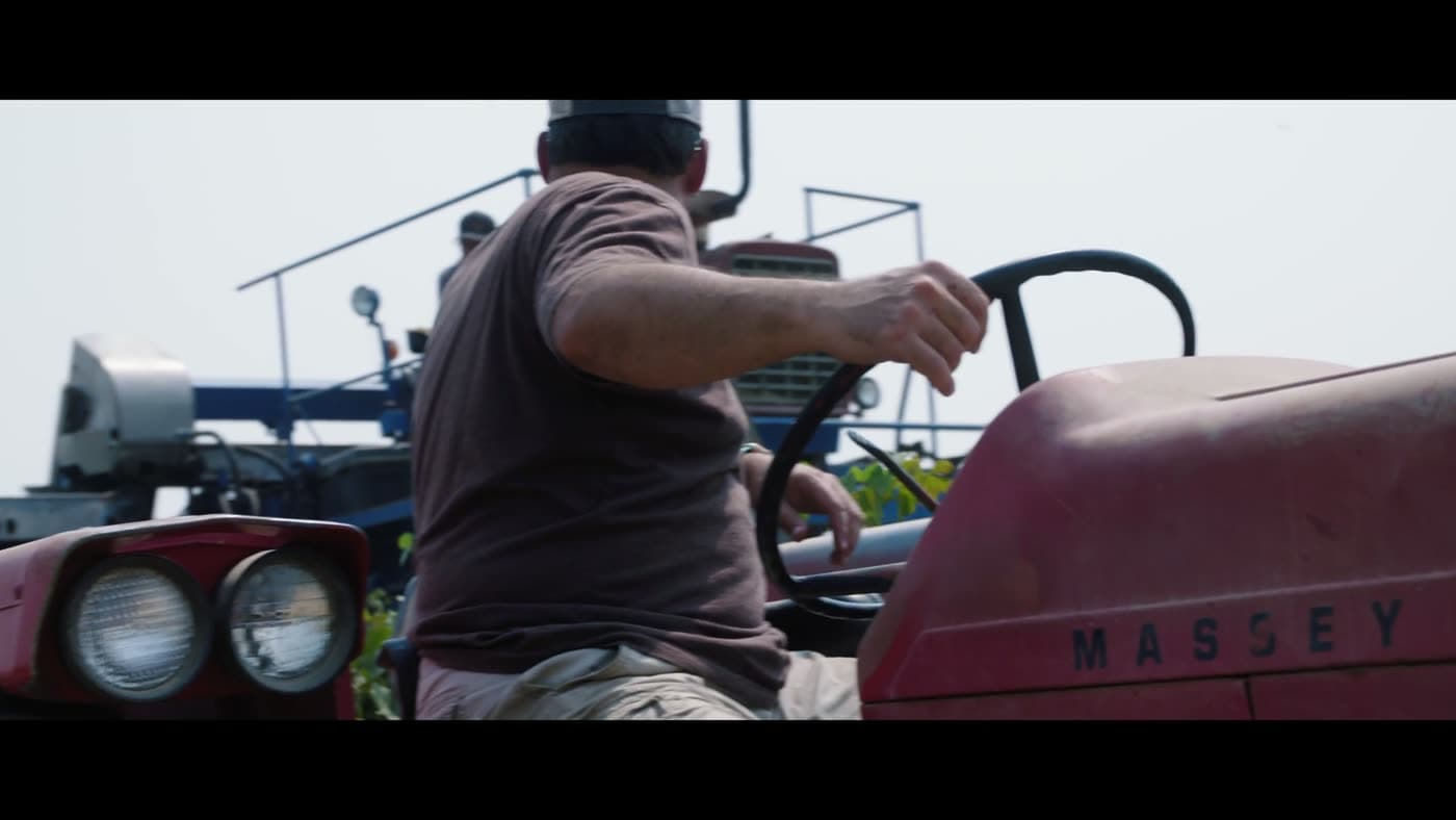 Einblick in die WERZ-Filmproduktion bei Engelmann Cellars