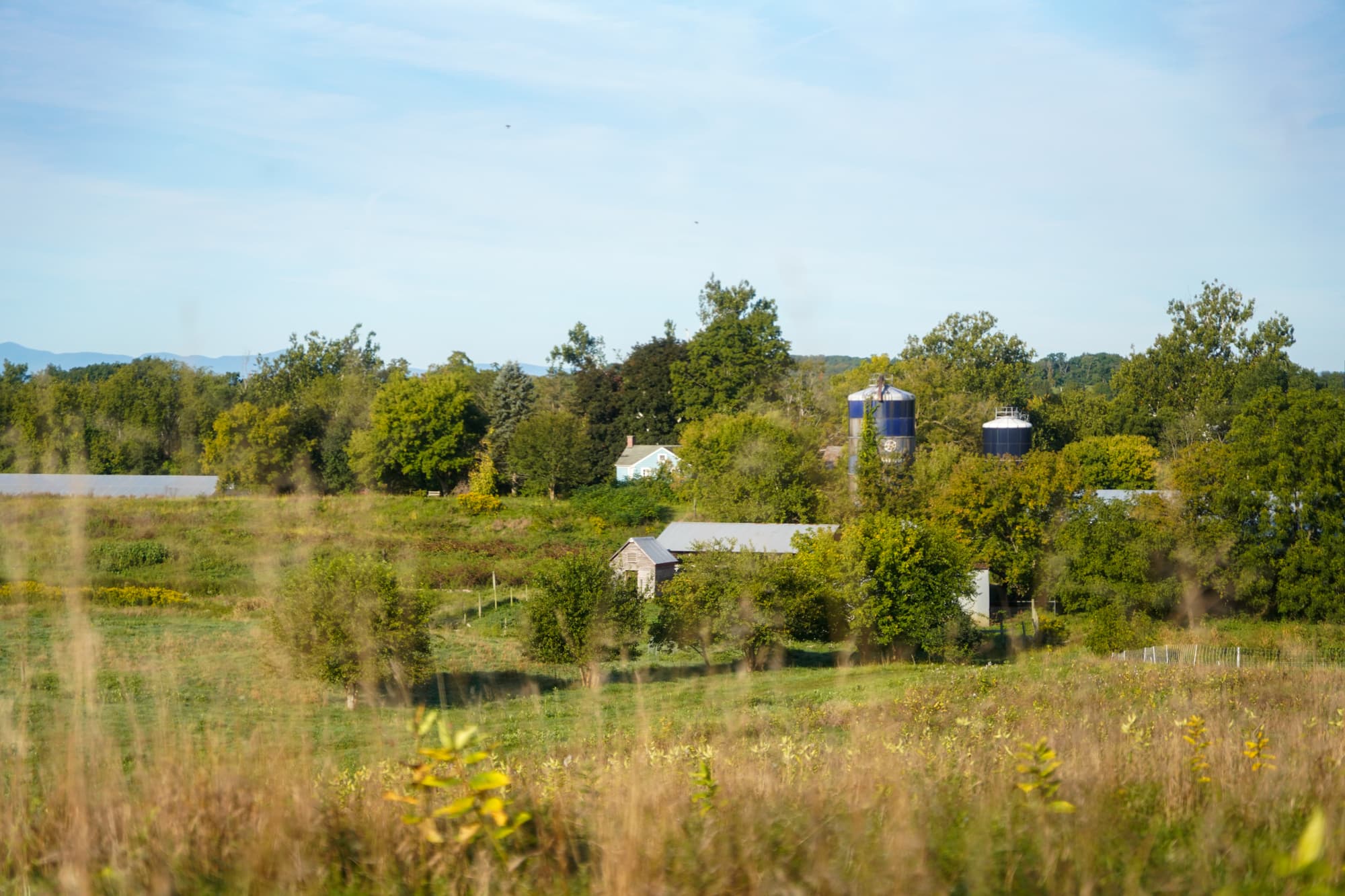 Wide view across the Hudson Valley pepper farm, silos on the horizon