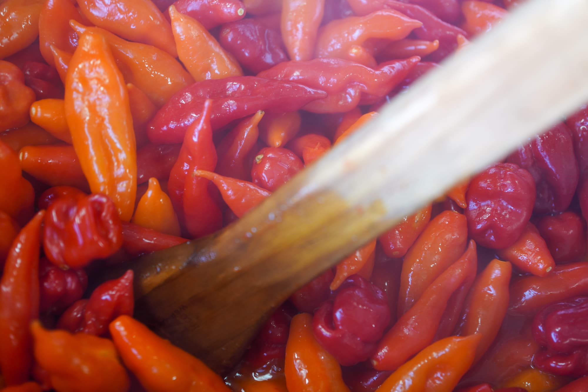 Peppers cooking down in the pot before bottling